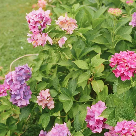 Magdalena 4* Майргофен