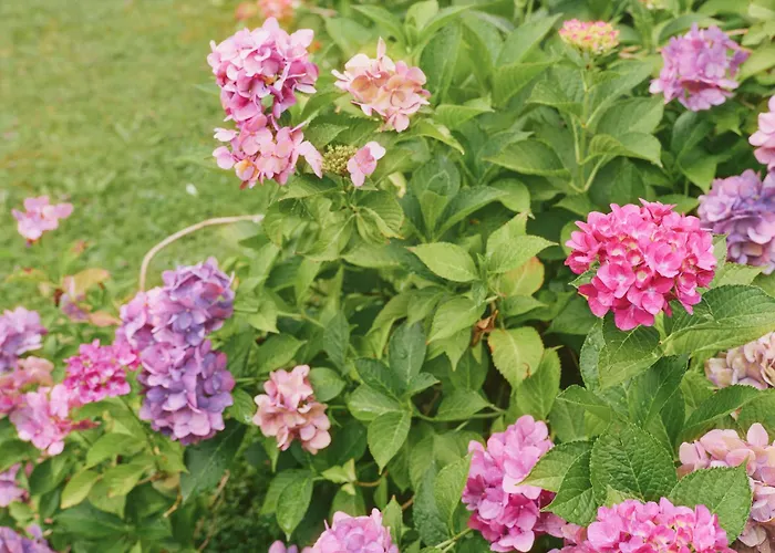 Magdalena 4* Mayrhofen